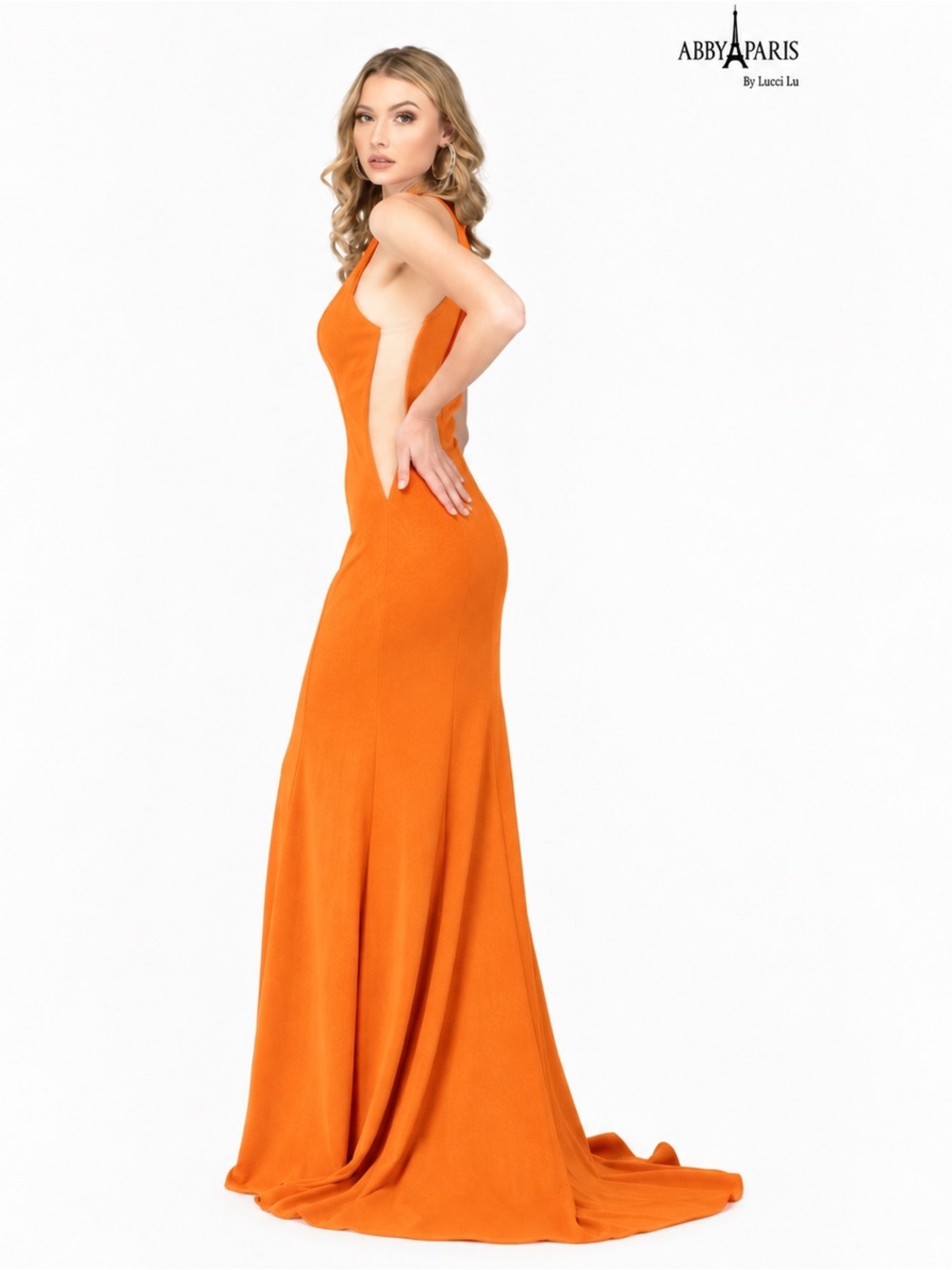 Abby Paris by Lucci Lu Floor Length High Neck Gown in Burnt Orange Sz 18